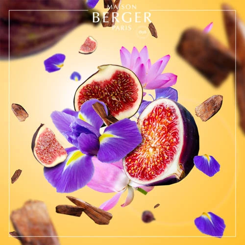 Sortie 🔥 Maison Berger Senteurs Bougie Amphora Noire Parfum Lait De Figue 😉 4 Sortie 🔥 Maison Berger Senteurs Bougie Amphora Noire Parfum Lait De Figue 😉 – Image 2