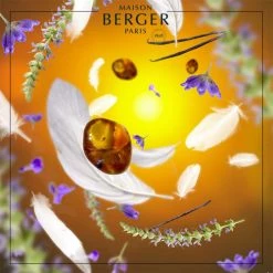 Nouveau ❤️ Maison Berger Senteurs Bouquet Parfumé Aroma Dream 🎉 -Huiles essentielles || Lanternes || Diffuseurs de parfums Soldes bouquet parfume aroma dream 2