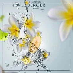 Budget 😀 Maison Berger Senteurs Bouquet Parfumé Aroma Happy Fraîcheur Aquatique 💯 -Huiles essentielles || Lanternes || Diffuseurs de parfums Soldes bouquet parfume aroma happy fraicheur aquatique 1