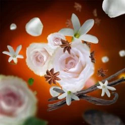 Meilleure vente ✨ Maison Berger Senteurs Bouquet Parfumé Aroma Relax Douceur Orientale 🧨 -Huiles essentielles || Lanternes || Diffuseurs de parfums Soldes bouquet parfume aroma relax douceur orientale 2