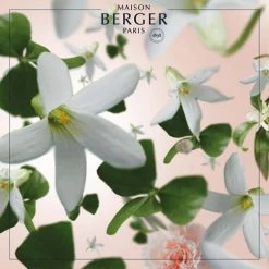 Meilleur prix 🔥 Maison Berger Senteurs Bouquet Parfumé Cube Jasmin Précieux 🧨 -Huiles essentielles || Lanternes || Diffuseurs de parfums Soldes bouquet parfume cube jasmin precieux 2