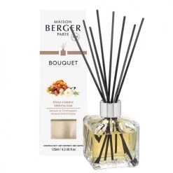 Tout neuf 😉 Maison Berger Senteurs Bouquet Parfumé Cube - Parfum Etoile D'Orient 🧨
