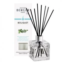 Nouveau 👍 Maison Berger Senteurs Bouquet Parfumé Cube - Parfum Fraîcheur D'Eucalyptus 😉