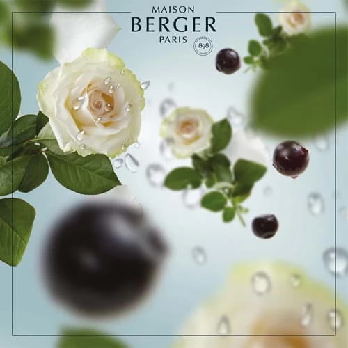 Nouveau 🛒 Maison Berger Senteurs Bouquet Parfumé Cube Parfum Vent D'Océan ✨ 5 Nouveau 🛒 Maison Berger Senteurs Bouquet Parfumé Cube Parfum Vent D'Océan ✨ – Image 3