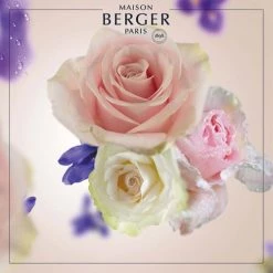 Top 10 🔥 Maison Berger Senteurs Bouquet Parfumé Cube Paris Chic 🧨 -Huiles essentielles || Lanternes || Diffuseurs de parfums Soldes bouquet parfume cube paris chic 3