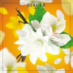 Vente flash 🎁 Maison Berger Senteurs Bouquet Parfumé Cube Soleil Divin 🔔 -Huiles essentielles || Lanternes || Diffuseurs de parfums Soldes bouquet parfume cube soleil divin 4
