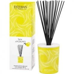 De gros ⌛ Esteban Senteurs Bouquet Parfumé Décoratif Et Sa Recharge Terre D'agrumes ⭐