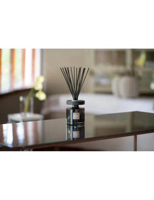 Tout neuf ✨ Esteban Senteurs Bouquet Parfumé Ellipse Et Sa Recharge 150ml Figue Noire 🌟 4 Tout neuf ✨ Esteban Senteurs Bouquet Parfumé Ellipse Et Sa Recharge 150ml Figue Noire 🌟 – Image 2