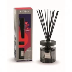 Nouveau 🛒 Esteban Senteurs Bouquet Parfumé Ellipse Et Sa Recharge 150ml Rouge Cassis ⭐