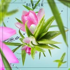 Meilleure vente 🤩 Maison Berger Senteurs Bouquet Parfumé Glaçon Eau D'Aloé 🔔 -Huiles essentielles || Lanternes || Diffuseurs de parfums Soldes bouquet parfume glacon eau d aloe 2