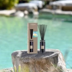 Nouveau ⌛ Esteban Senteurs Bouquet Parfumé Initial Ylang-ylang 👏 5 Nouveau ⌛ Esteban Senteurs Bouquet Parfumé Initial Ylang-ylang 👏 -Huiles essentielles || Lanternes || Diffuseurs de parfums Soldes bouquet parfume initial ylang ylang 1