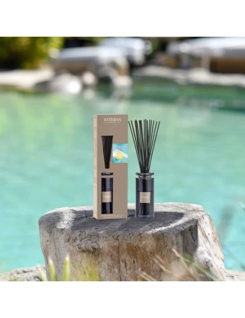 Nouveau ⌛ Esteban Senteurs Bouquet Parfumé Initial Ylang-ylang 👏 4 Nouveau ⌛ Esteban Senteurs Bouquet Parfumé Initial Ylang-ylang 👏 – Image 2