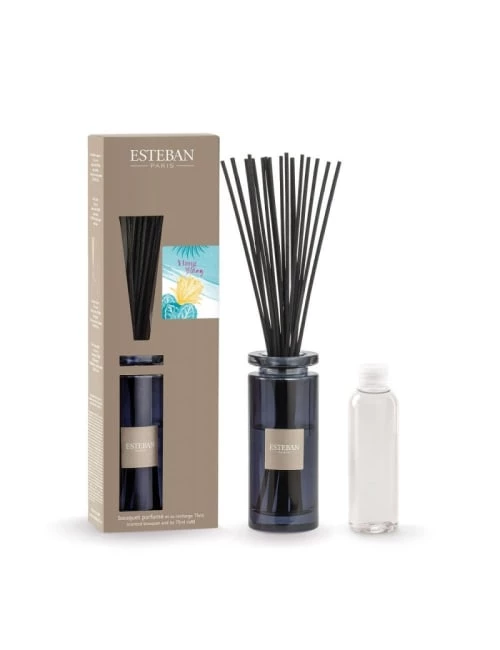 Nouveau ⌛ Esteban Senteurs Bouquet Parfumé Initial Ylang-ylang 👏 3 Nouveau ⌛ Esteban Senteurs Bouquet Parfumé Initial Ylang-ylang 👏