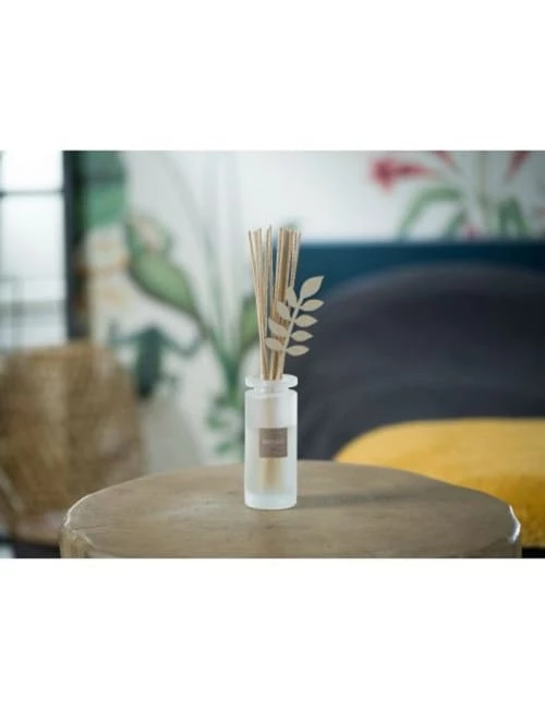 Offres 🔔 Esteban Senteurs Bouquet Parfumé Rechargeable Monoï Soleil 100ml 👏 4 Offres 🔔 Esteban Senteurs Bouquet Parfumé Rechargeable Monoï Soleil 100ml 👏 – Image 2