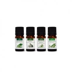 Nouveau 🔥 La Compagnie Des Sens Senteurs Huiles Essentielles BIO - Diffusion Hivernale 🤩