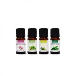 Meilleure affaire 😍 La Compagnie Des Sens Senteurs Huiles Essentielles BIO - Diffusion Moustiques ✔️