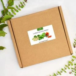 Meilleure affaire ⭐ La Compagnie Des Sens Senteurs L'incontournable Box ⭐ 6 Meilleure affaire ⭐ La Compagnie Des Sens Senteurs L'incontournable Box ⭐ -Huiles essentielles || Lanternes || Diffuseurs de parfums Soldes l incontournable box 1