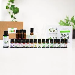 Meilleure affaire ⭐ La Compagnie Des Sens Senteurs L'incontournable Box ⭐ 7 Meilleure affaire ⭐ La Compagnie Des Sens Senteurs L'incontournable Box ⭐ -Huiles essentielles || Lanternes || Diffuseurs de parfums Soldes l incontournable box 2