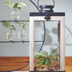 Promo 👍 Mica Decorations Lanternes Lanterne En Bois Et Métal Noir H33,5 👍 -Huiles essentielles || Lanternes || Diffuseurs de parfums Soldes lanterne en bois et metal noir h33 5 3