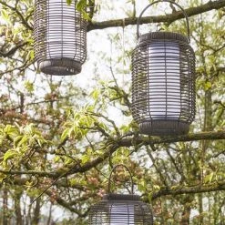 Meilleure vente 🥰 Luca Lighting Lanternes Lanterne Solaire Brun Foncé H29,5 🔔 -Huiles essentielles || Lanternes || Diffuseurs de parfums Soldes lanterne solaire brun fonce h29 5 1