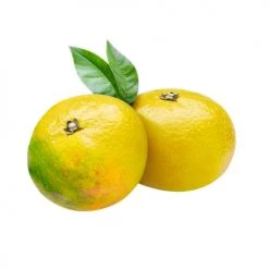 De gros 🔔 La Compagnie Des Sens Senteurs MANDARINE JAUNE - Huile Essentielle Bio 30ml 🔔 -Huiles essentielles || Lanternes || Diffuseurs de parfums Soldes mandarine jaune huile essentielle bio 30ml 1