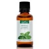 Bon marché 🎁 La Compagnie Des Sens Senteurs MENTHE POIVRÉE - Huile Essentielle Bio 30ml 🥰