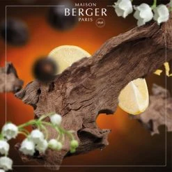 Meilleure vente 🔔 Maison Berger Senteurs Parfum Lampe Berger Bois D'Orient 500 Ml 🎁 -Huiles essentielles || Lanternes || Diffuseurs de parfums Soldes parfum lampe berger bois d orient 500 ml 1