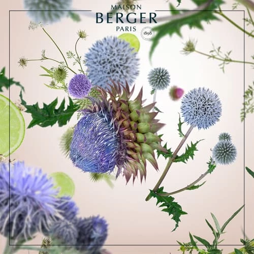 Bon marché ❤️ Maison Berger Senteurs Parfum Lampe Berger Chardon Sauvage 500ml ❤️ 4 Bon marché ❤️ Maison Berger Senteurs Parfum Lampe Berger Chardon Sauvage 500ml ❤️ – Image 2