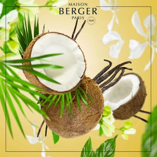 Top 10 🛒 Maison Berger Senteurs Parfum Lampe Berger Coco Monoï 500 Ml 🛒 4 Top 10 🛒 Maison Berger Senteurs Parfum Lampe Berger Coco Monoï 500 Ml 🛒 – Image 2