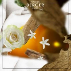 De gros 👍 Maison Berger Senteurs Parfum Lampe Berger Douceur De Cachemire 500ml 🧨 -Huiles essentielles || Lanternes || Diffuseurs de parfums Soldes parfum lampe berger douceur de cachemire 500ml 1