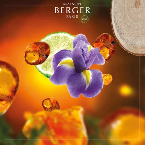 Meilleure affaire ⭐ Maison Berger Senteurs Parfum Lampe Berger Elégance Ambrée 500 Ml 😉 4 Meilleure affaire ⭐ Maison Berger Senteurs Parfum Lampe Berger Elégance Ambrée 500 Ml 😉 – Image 2