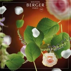 Grosses soldes 💯 Maison Berger Senteurs Parfum Lampe Berger Esprit De Patchouli 500 Ml ❤️ -Huiles essentielles || Lanternes || Diffuseurs de parfums Soldes parfum lampe berger esprit de patchouli 500 ml 1