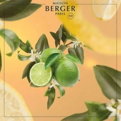 Les meilleures critiques de 🎉 Maison Berger Senteurs Parfum Lampe Berger Fleur De Citronnier 500 Ml 🛒 6 Les meilleures critiques de 🎉 Maison Berger Senteurs Parfum Lampe Berger Fleur De Citronnier 500 Ml 🛒 -Huiles essentielles || Lanternes || Diffuseurs de parfums Soldes parfum lampe berger fleur de citronnier 500 ml 1
