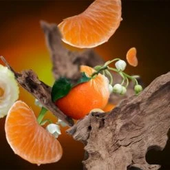 Budget ✨ Maison Berger Senteurs Parfum Lampe Berger Santal Envoûtant 500 Ml 🧨 -Huiles essentielles || Lanternes || Diffuseurs de parfums Soldes parfum lampe berger santal envoutant 500 ml 1