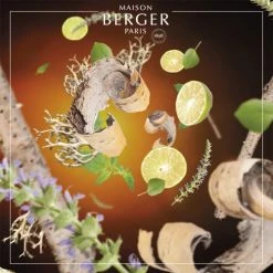 Remise ✨ Maison Berger Senteurs Parfum Lampe Berger Terre Sauvage 500ml 🛒 -Huiles essentielles || Lanternes || Diffuseurs de parfums Soldes parfum lampe berger terre sauvage 500ml 4
