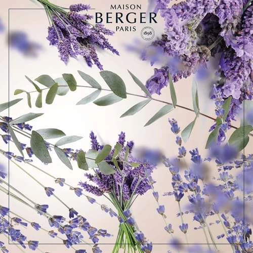 Meilleur prix 🧨 Maison Berger Senteurs Recharge Bouquet Parfumé Champs De Lavande 400ml ✨ 4 Meilleur prix 🧨 Maison Berger Senteurs Recharge Bouquet Parfumé Champs De Lavande 400ml ✨ – Image 2