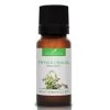 Meilleure affaire 😀 La Compagnie Des Sens Senteurs THYM À LINALOL - Huile Essentielle Bio 10ml 💯 -Huiles essentielles || Lanternes || Diffuseurs de parfums Soldes thym a linalol huile essentielle bio 10ml