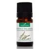 De gros 🔥 La Compagnie Des Sens Senteurs THYM A THUJANOL - Huile Essentielle Bio 5ml 🎁